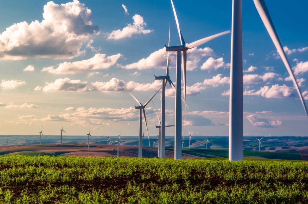 The Rise of Wind Energy