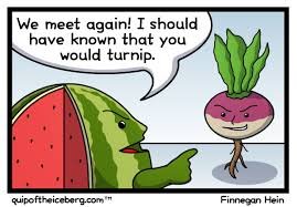 Introduction to Turnip as Joke