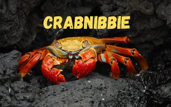 crabnibbie